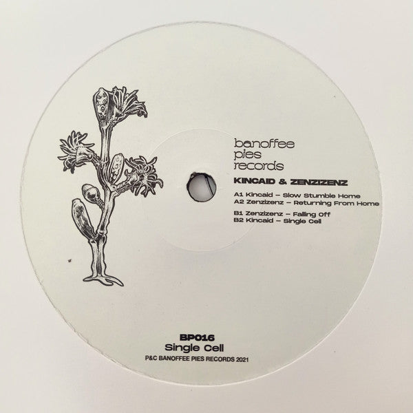 Kincaid (5), Zenzizenz : Single Cell (12