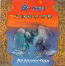 Load image into Gallery viewer, Chakra (2) &amp; Liquid Metal (2) : Resurrection (12")
