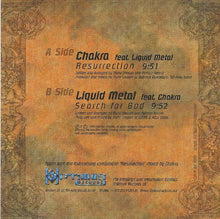 Load image into Gallery viewer, Chakra (2) &amp; Liquid Metal (2) : Resurrection (12")
