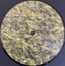 Load image into Gallery viewer, Skee Mask : Pool (3x12&quot;, Album, 180)
