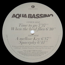Load image into Gallery viewer, Aqua Bassino : Pools (12&quot;, EP)
