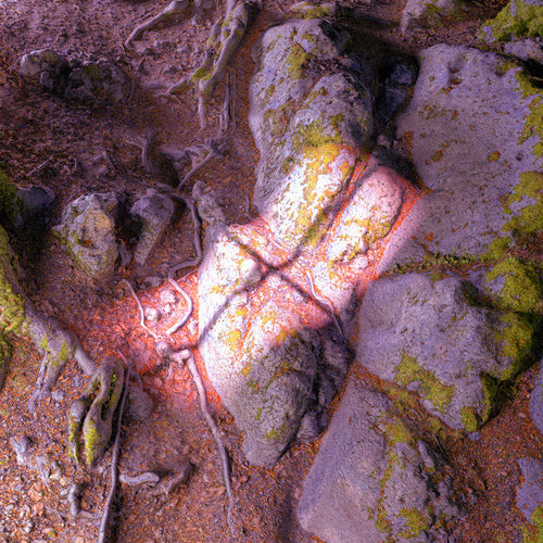 James Rushford : Lake From The Louvers (LP)