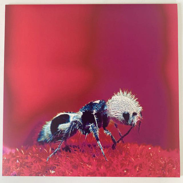 Ditterich von Euler-Donnersperg : Klein : Rot (LP, Album, Ltd, Num, Red)