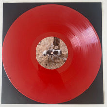 Load image into Gallery viewer, Ditterich von Euler-Donnersperg : Klein : Rot (LP, Album, Ltd, Num, Red)
