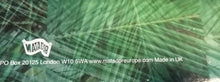 Load image into Gallery viewer, Mount Florida : Strut (12")
