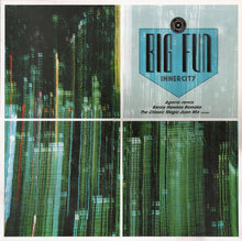 Load image into Gallery viewer, Inner City : Big Fun (Agoria Remix / Kenny Hawkes Remake / The Classic Magic Juan Mix Remake) (12")
