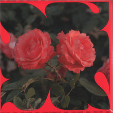 Load image into Gallery viewer, Earth Trax : LP2 Ambient Dance (2xLP, Album)
