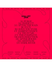 Load image into Gallery viewer, Earth Trax : LP2 Ambient Dance (2xLP, Album)
