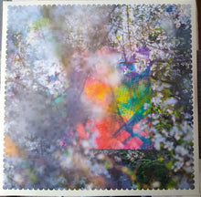 Load image into Gallery viewer, Four Tet : Sixteen Oceans (2xLP, Album, RP)
