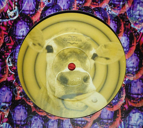 Slapper : The Cowboy Song (12