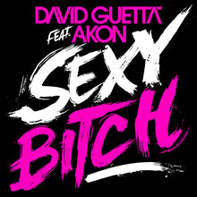 Load image into Gallery viewer, David Guetta Feat. Akon : Sexy Bitch (12&quot;)
