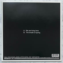 Load image into Gallery viewer, Kaito : We Are Living Here (12")
