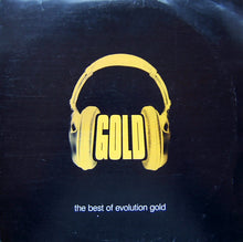 Load image into Gallery viewer, Various : The Best Of Evolution Gold (2xLP, Comp)
