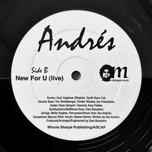 Load image into Gallery viewer, Andrés : Praises (12&quot;)
