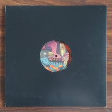 Load image into Gallery viewer, VNSSA &amp; Lenny Kiser : Sinking (12&quot;)
