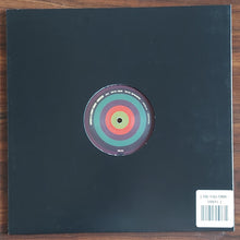 Load image into Gallery viewer, VNSSA &amp; Lenny Kiser : Sinking (12&quot;)
