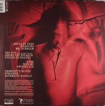 Load image into Gallery viewer, Zombie Nation : Absorber (2xLP)
