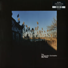 Load image into Gallery viewer, The Cinematic Orchestra : Ma Fleur (2xLP, Album, Ltd, RE, Cle)
