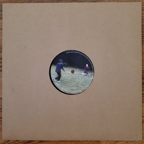 Vanessa Amara : Music For Acoustic Instruments & Feedback (LP, Ltd)