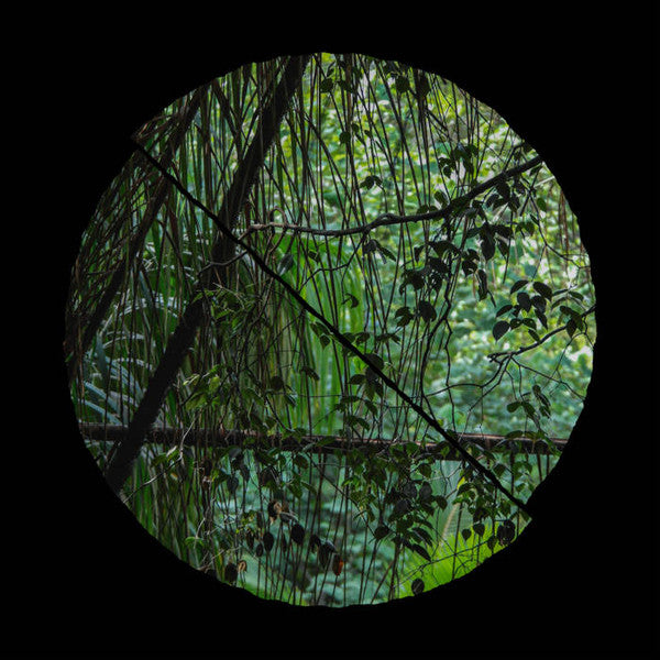 Llyr (4) : Biome (LP, Ltd, Rec)