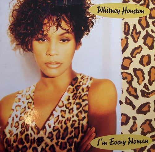 Whitney Houston : I'm Every Woman (12