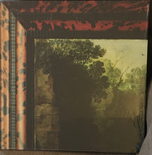 Load image into Gallery viewer, Felisha Ledesma : Fringe  (12&quot;, Oxb)
