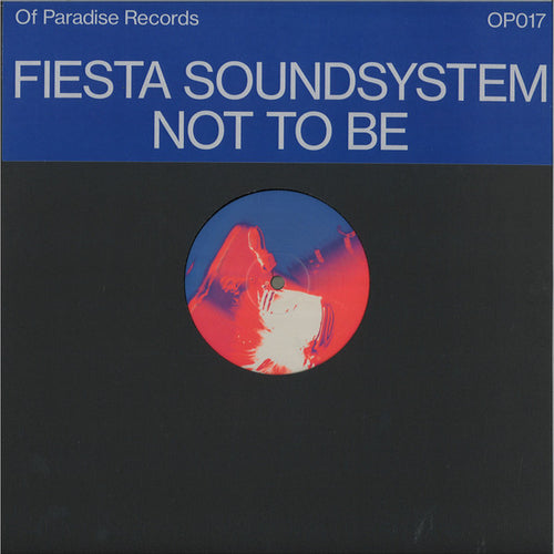 Fiesta Soundsystem : Not To Be (12