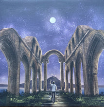 Load image into Gallery viewer, Collateral Intelligence : Butterflies In Funerals (LP, Album)
