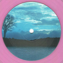 Load image into Gallery viewer, Hydergine : Augmented Reality EP (10 Years Reissue) (12&quot;, EP, RE, Pin)
