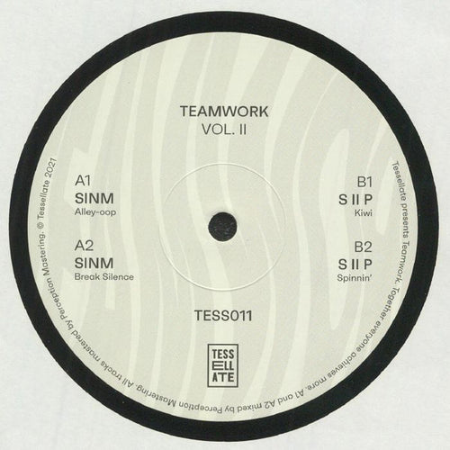 SINM, S II P : Teamwork Vol. II (12