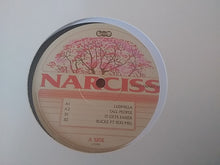 Load image into Gallery viewer, Narciss : Dear Diary EP (12", EP)
