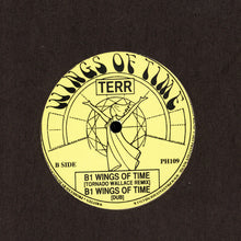 Load image into Gallery viewer, Terr : Wings Of Time (12&quot;)
