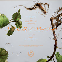 Load image into Gallery viewer, Nueen : Nova Llum (LP, Album)

