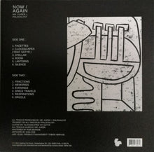 Load image into Gallery viewer, Mr. Käfer + Phlocalyst : Now / Again (LP, Album)
