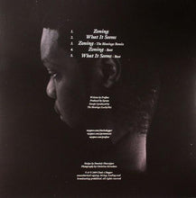 Load image into Gallery viewer, Profisee &amp; Eprom : Zoning (12")
