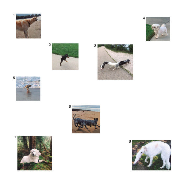 Our Souls Are In The Hands Of The Translator : An Era Of Spiritual Tenebrae (LP)