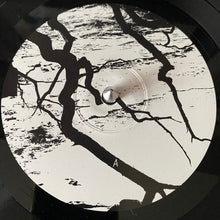 Load image into Gallery viewer, NONEXISTENT (2) : NONEXISTENT (LP, Album)
