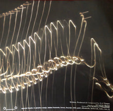 Load image into Gallery viewer, LA Timpa : Equal Amounts Afraid (LP, Album)
