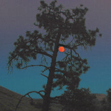 Load image into Gallery viewer, Sansibar : Sans Musique (2x12&quot;, Album)
