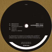 Load image into Gallery viewer, Alessandro Crimi : Wandering (12&quot;)
