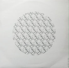 Load image into Gallery viewer, Matt Wand : Public.Exe (10&quot;)
