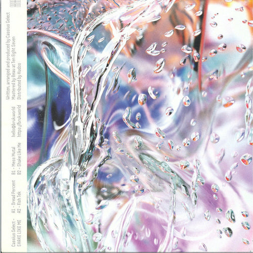 Cassius Select : Shake Like Me (12