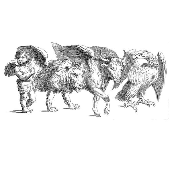 Niagara (6) : 1807: Músicas Retiradas Dos CDRs (LP, Album, Comp)