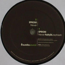 Load image into Gallery viewer, Eprom : Never (12&quot;)
