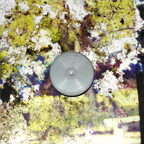 Lorenzo Fortino : Istanti Per Volare Via  (LP, Album, Ltd, Tra)