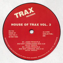 Load image into Gallery viewer, Ace &amp; The Sandman / Jamie Principle : House Of Trax Vol. 3 (12")
