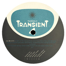 Load image into Gallery viewer, Various : Transient 4 (2xLP, Comp)
