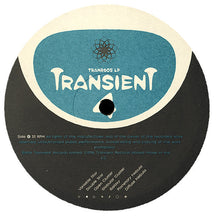 Load image into Gallery viewer, Various : Transient 4 (2xLP, Comp)
