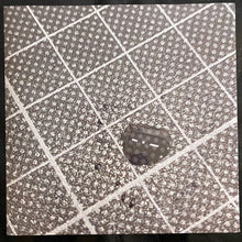 Load image into Gallery viewer, Tillmans* : Moon In Earthlight (LP, Album)
