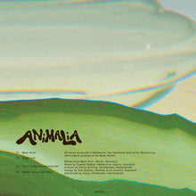 Load image into Gallery viewer, Dolly (37) : Don't Forget the Moonscreen (12")
